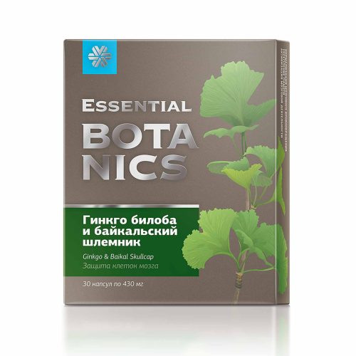 Ginko biloba Siberian Wellness