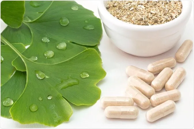 Ginko biloba Siberian Wellness
