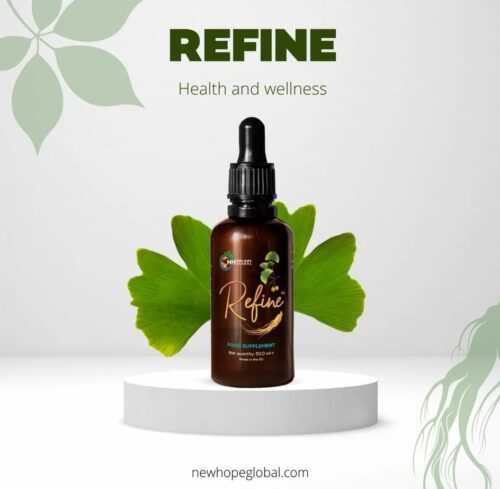 Refine Ginko i Ginseng